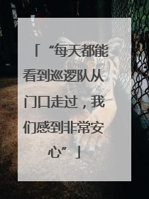 “每天都能看到巡逻队从门口走过，我们感到非常安心”