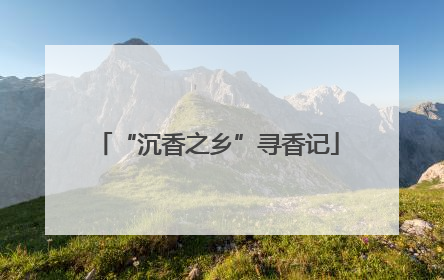 “沉香之乡”寻香记