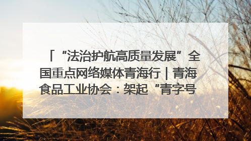 “法治护航高质量发展”全国重点网络媒体青海行｜青海食品工业协会：架起“青字号”美食的产业化桥梁