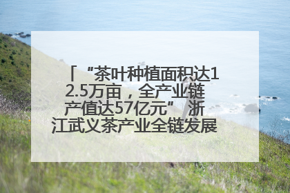 “茶叶种植面积达12.5万亩，全产业链产值达57亿元” 浙江武义茶产业全链发展“加速度”
