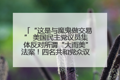 “这是与魔鬼做交易” 美国民主党议员集体反对所谓“大而美”法案！四名共和党众议员投反对票