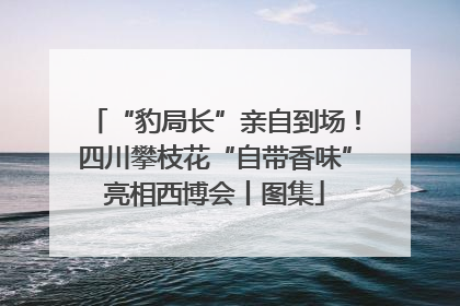 “豹局长”亲自到场！四川攀枝花“自带香味”亮相西博会丨图集