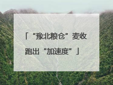 “豫北粮仓”麦收跑出“加速度”
