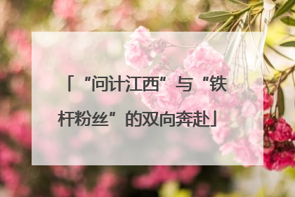 “问计江西”与“铁杆粉丝”的双向奔赴