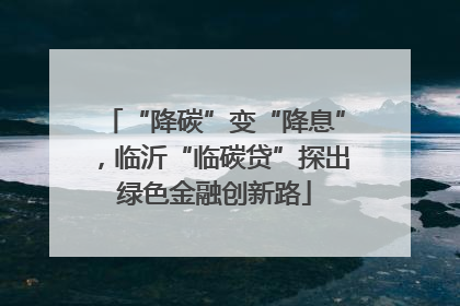 “降碳”变“降息”，临沂“临碳贷”探出绿色金融创新路
