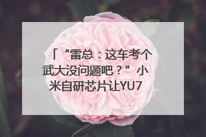 “雷总：这车考个武大没问题吧？”小米自研芯片让YU7会学习｜汽车科技