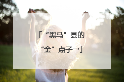 “黑马”县的“金”点子→