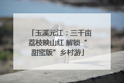 玉溪元江：三千亩荔枝映山红 解锁“甜蜜版”乡村游