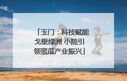 玉门：科技赋能戈壁绿洲 小院引领蜜瓜产业振兴