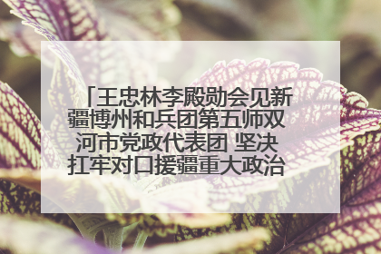 王忠林李殿勋会见新疆博州和兵团第五师双河市党政代表团 坚决扛牢对口援疆重大政治责任 推动双方实现优势互补务实合作