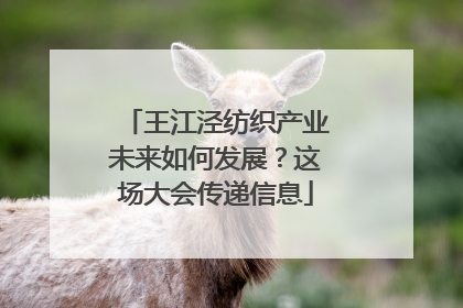 王江泾纺织产业未来如何发展？这场大会传递信息