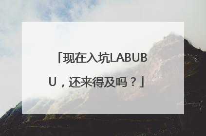 现在入坑LABUBU，还来得及吗？