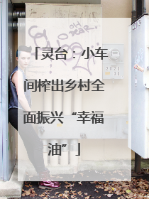 灵台：小车间榨出乡村全面振兴“幸福油”