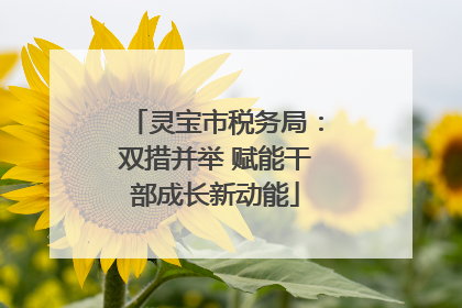 灵宝市税务局：双措并举 赋能干部成长新动能