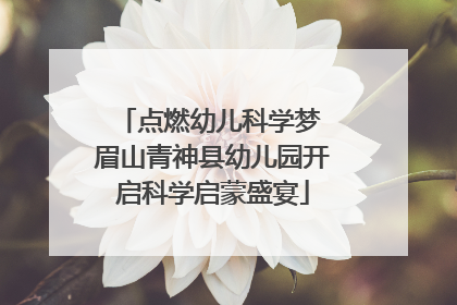 点燃幼儿科学梦 眉山青神县幼儿园开启科学启蒙盛宴