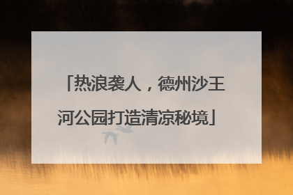 热浪袭人，德州沙王河公园打造清凉秘境