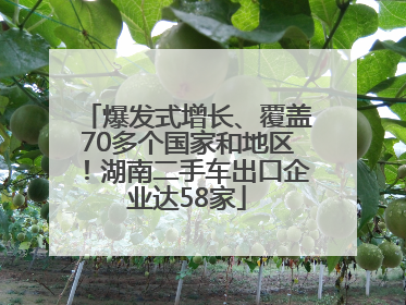 爆发式增长、覆盖70多个国家和地区！湖南二手车出口企业达58家