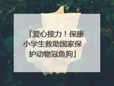 爱心接力！保康小学生救助国家保护动物冠鱼狗