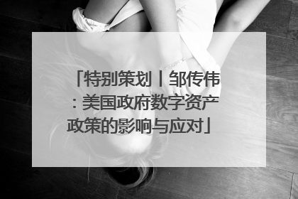 特别策划丨邹传伟：美国政府数字资产政策的影响与应对