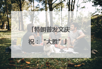 特朗普发文庆祝：“大胜”