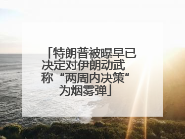 特朗普被曝早已决定对伊朗动武 称“两周内决策”为烟雾弹