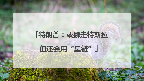 特朗普：或挪走特斯拉 但还会用“星链”