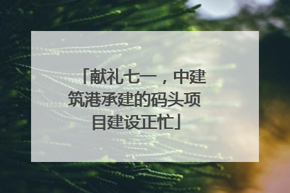 献礼七一，中建筑港承建的码头项目建设正忙