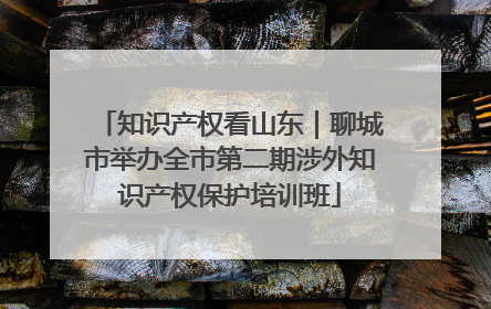 知识产权看山东｜聊城市举办全市第二期涉外知识产权保护培训班