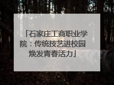 石家庄工商职业学院：传统技艺进校园焕发青春活力