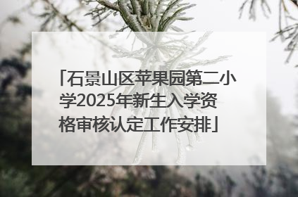 石景山区苹果园第二小学2025年新生入学资格审核认定工作安排
