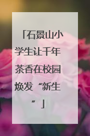 石景山小学生让千年茶香在校园焕发“新生”
