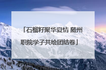 石榴籽聚华夏情 随州职院学子共绘团结卷