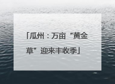 瓜州：万亩“黄金草”迎来丰收季