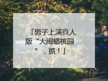 男子上演真人版“大闹蟠桃园”，抓！
