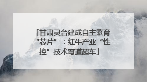 甘肃灵台建成自主繁育“芯片”：红牛产业“性控”技术弯道超车