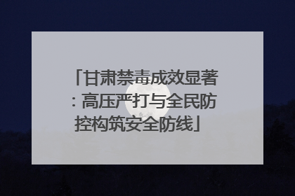 甘肃禁毒成效显著：高压严打与全民防控构筑安全防线