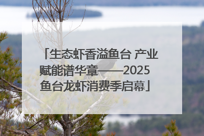 生态虾香溢鱼台 产业赋能谱华章——2025鱼台龙虾消费季启幕