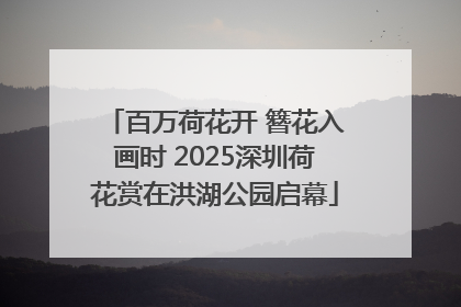 百万荷花开 簪花入画时 2025深圳荷花赏在洪湖公园启幕
