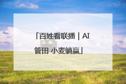 百姓看联播｜AI管田 小麦躺赢