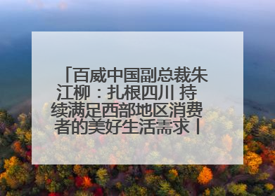 百威中国副总裁朱江柳：扎根四川 持续满足西部地区消费者的美好生活需求丨西望四川