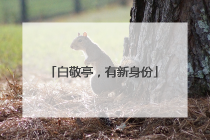 白敬亭，有新身份