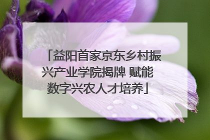 益阳首家京东乡村振兴产业学院揭牌 赋能数字兴农人才培养