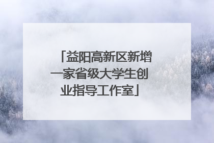 益阳高新区新增一家省级大学生创业指导工作室