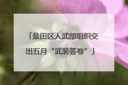 盐田区人武部组织交出五月“武装答卷”
