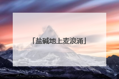 盐碱地上麦浪涌