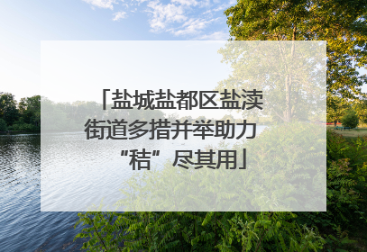 盐城盐都区盐渎街道多措并举助力“秸”尽其用