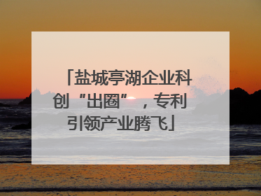 盐城亭湖企业科创“出圈”，专利引领产业腾飞