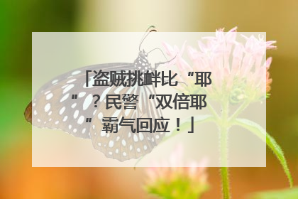 盗贼挑衅比“耶”？民警“双倍耶”霸气回应！