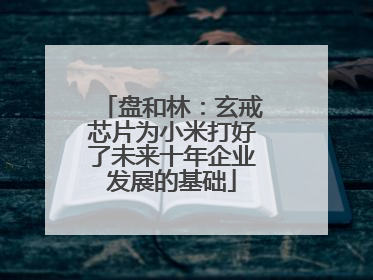 盘和林：玄戒芯片为小米打好了未来十年企业发展的基础