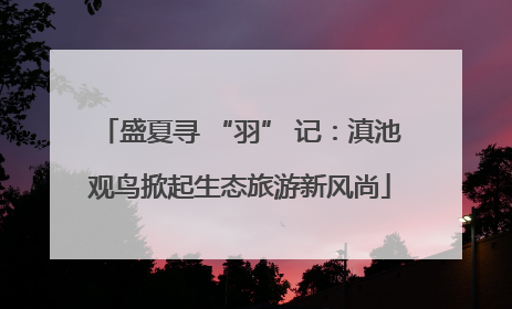 盛夏寻 “羽” 记：滇池观鸟掀起生态旅游新风尚